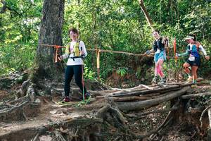 BIB: 
                            <button type="button" onclick="openModal(27557452)" class="btn btn-primary btn-sm float-right btn-popup" data-toggle="modal" data-target=".modal-high-quality">
                        <i class="fas fa-shopping-cart"></i> Add to Cart
                    </button>
                                            <button type="button" onclick="isThisMe(27557452, true)" class="btn btn-success btn-sm float-right btn-popup btn-isme hidden" data-toggle="tooltip" data-placement="bottom" title="นี่คือรูปของคุณใช่ไหม คลิกที่นี่เพื่อเอาเข้าอัลบั้ม">
                        <i class="fas fa-plus"></i> Add to album
                    </button>
                    <button type="button" onclick="isThisMe(27557452, false)" class="btn btn-warning btn-sm float-right btn-popup btn-isnotme hidden">
                        <i class="fas fa-ban"></i> Remove from album
                    </button>